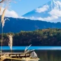 👑股市山水討論群