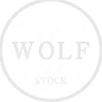 Wolfstreet台股鎮守隊