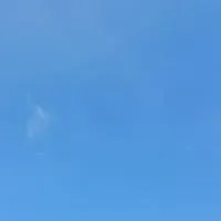 股票長期實戰獲利與實戰教學分享社群（楊竹文分析師）