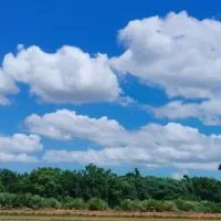 平興國小501