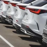 Lexus NX 趴趴走
