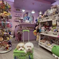 Bunibear.手機殼雜貨玩具店