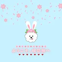 棉花熊 日本連線 日本代購 4/25-5/4🇯🇵