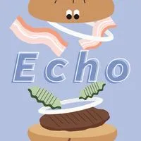 E C H O 🛸 S H O P