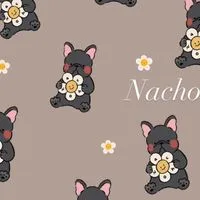 Nacho黑狗2群（開放發言）