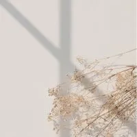 Mars韓國連線優惠群組📍（另外的優惠商品皆需用追加的無現貨）