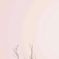 🇺🇸Balita4_二手&精品群