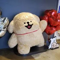 MYMYMY_韓國代購