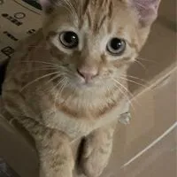 Kari_land代購團🐻🐼