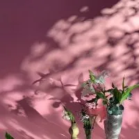 PIMGO 選物社群🧺