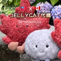 🇨🇦加拿大快閃代購連線