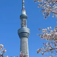 ✈️小鹿代購🩵 11/28-12/07北海道.青森.秋田.連線🇯🇵