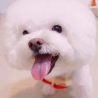 采兒小舖💕