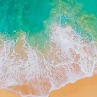 🇹🇼真的就不怕辯，什麼都可以辯！辯！ 辯！買賣💛批發🧡零售💚宣傳💖廣告💚直播💙互惠❤聯盟💜門市🧡創業💛