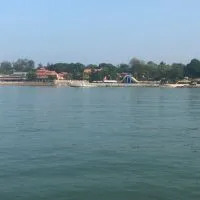 瘋狂跳蚤市場社群