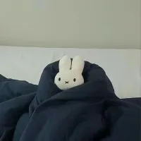 🚪波捏豆代購群✈️