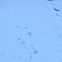 EK代購連線群組
