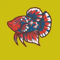 百變鬥魚