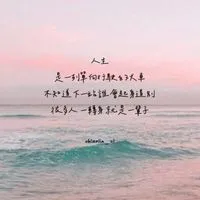 皮卡黑特群