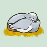 糯米佛系代購