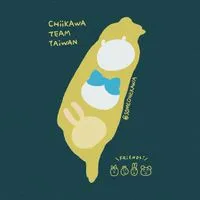 TEAM TAIWAN 的 吉友們