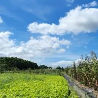 丐幫協力會老茄苳驛站