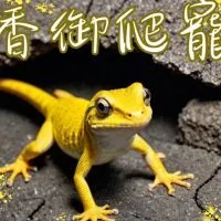 香御爬寵（各式爬蟲🦎競標、交流討論群）