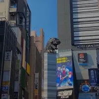 VVN Select 東京代購連線中～8/31
