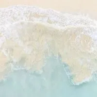 鯨魚魚の小星球૮₍ ˶> . <˶ ₎ა 聊天💭&吃瓜🍉&群通📞&處關係🐾&玩遊戲🎮