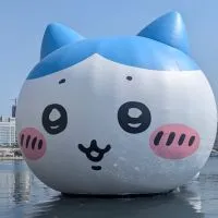 熱情南國人愛聊天(高雄 30+ 聊天 談心 單身 非單都歡迎）