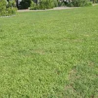 腦神經問題討論區食物四分法