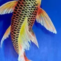 龍筋保養討論區