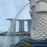 郭漢聰的小花園