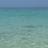 皮膚科、婦科、美容微整塑身，中醫討論區（內有多位醫師解惑）