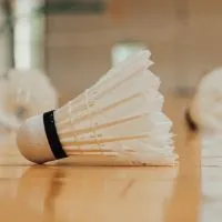 《以球會友》週六🏸️