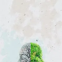 落髮原因/禿頭/植髮/頭皮健康探討群
