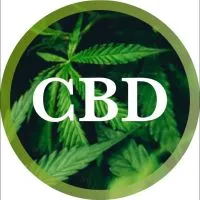 CBD 漢麻產業新聞台