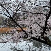 💓板主很討厭天蠍怎樣？/感情/談心/星座/職場抱怨💞💓🩷