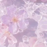 30+☀️哈啦揪團趣 | 線上衝浪🌊