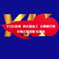 泗水超血王-Yuki紅龍魚交流專區