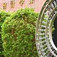 成大會計及財金系友