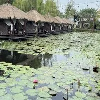 💥優越高雄養生會館SPA💥