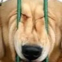 傳說動物園