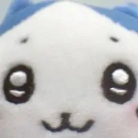 儲藏食物的地方