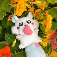 林奶奶の吉依商行代購👵🏻🌼