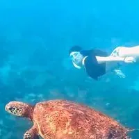 鳳姐民宿推薦｜離島旅宿分享群