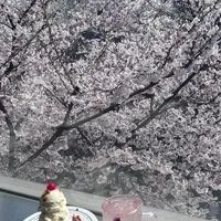 阿酸🇰🇷什麼都能聊的小天地