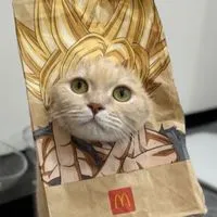 保護小麥
