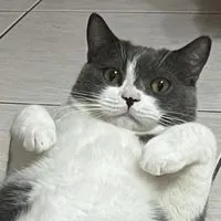 來聊天天天天天><