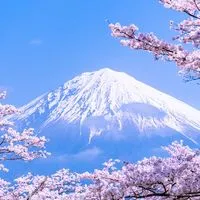 天使織坊-日本代購社群